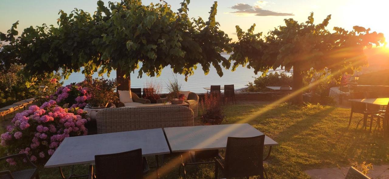 לאווניה Olivenere Agriturismo מראה חיצוני תמונה