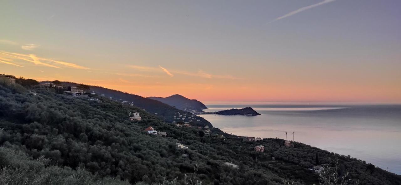 לאווניה Olivenere Agriturismo מראה חיצוני תמונה