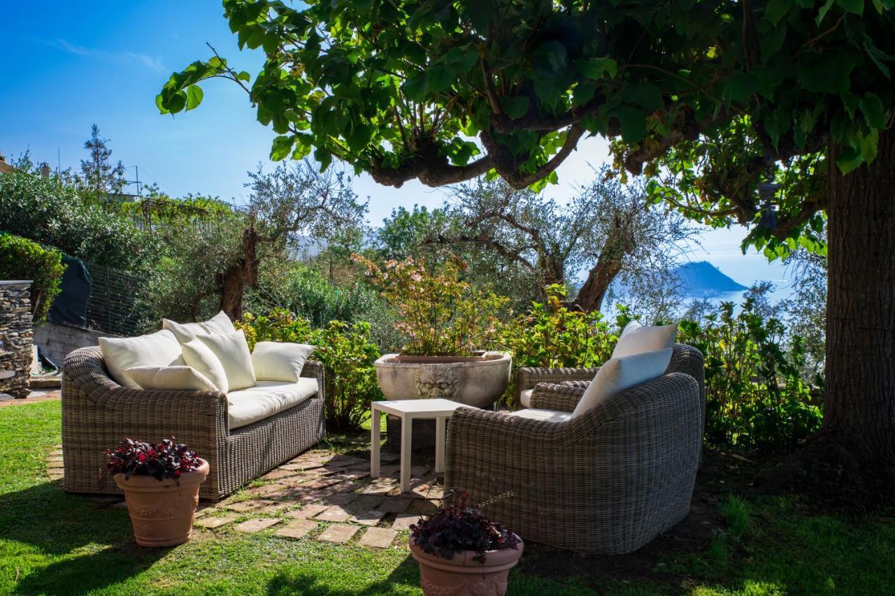 לאווניה Olivenere Agriturismo מראה חיצוני תמונה