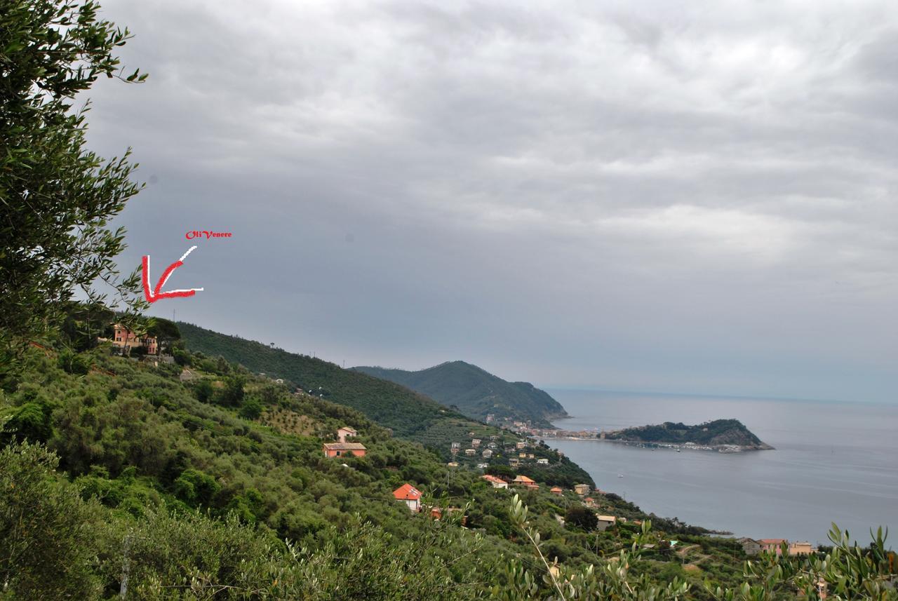 לאווניה Olivenere Agriturismo מראה חיצוני תמונה