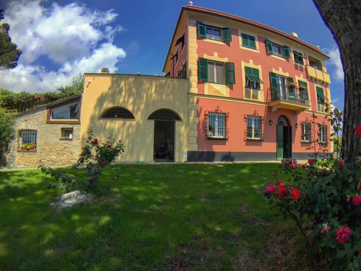לאווניה Olivenere Agriturismo מראה חיצוני תמונה